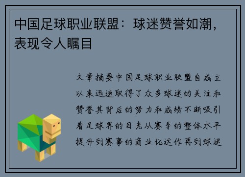中国足球职业联盟：球迷赞誉如潮，表现令人瞩目